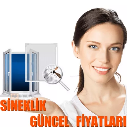 Güncel Sineklik Fiyatları